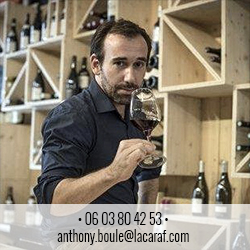 Anthony Boule